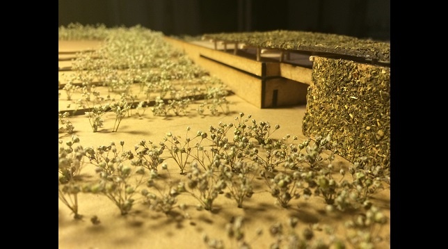 Ion Radu Mihnea // Vinărie și pensiune