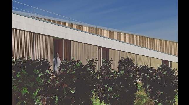 Ion Radu Mihnea // Vinărie și pensiune