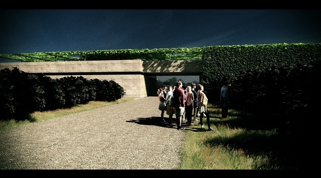 Ion Radu Mihnea // Vinărie și pensiune