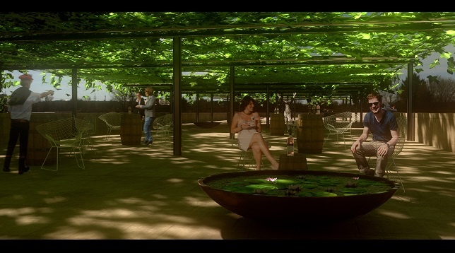 Ion Radu Mihnea // Vinărie și pensiune