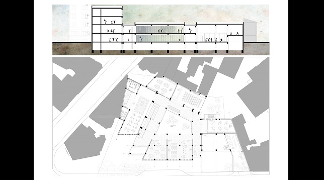 Oana Cristina Crețu // Școală