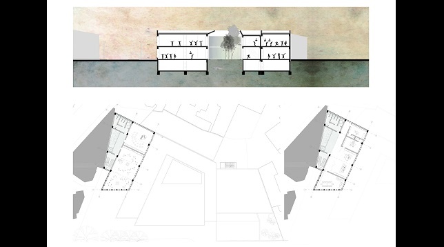 Oana Cristina Crețu // Școală