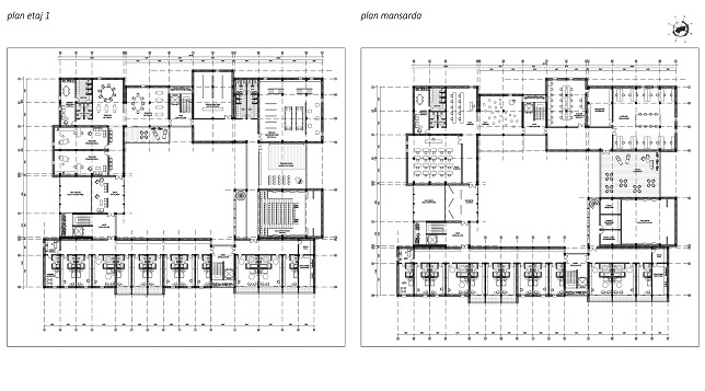  Roxana Alexandra Ioniță // Centru de reintegrare socială pentru nevăzători