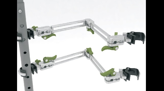 Teodora Marincovici Oancea // Livon