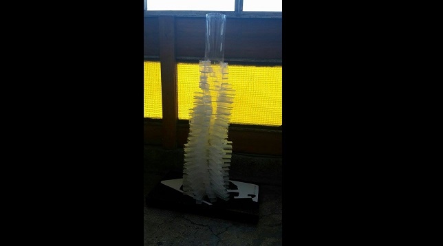 Alexandru Bălan // Organic Growing Skyscraper