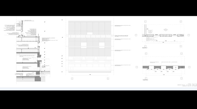 Diana Trif // Conversia garajului Ciclop