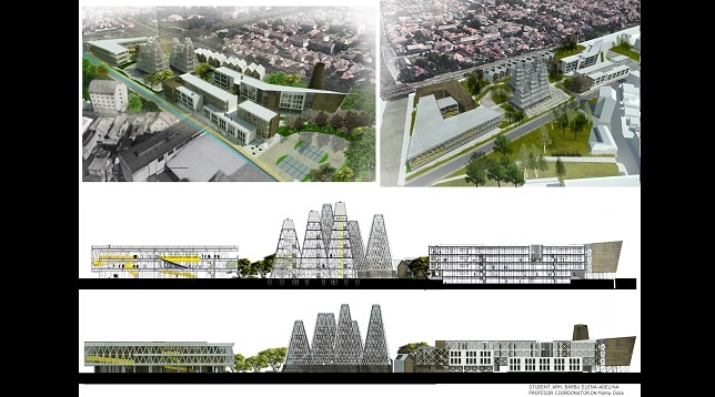 Elena-Adelina Barbu // Academie de artă contemporană 