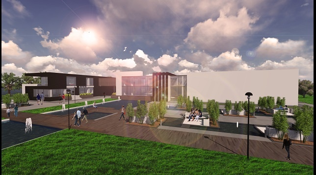 Irina Dron // Complex de agrement