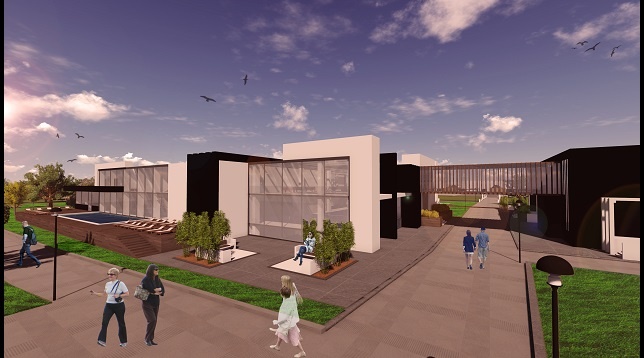 Irina Dron // Complex de agrement