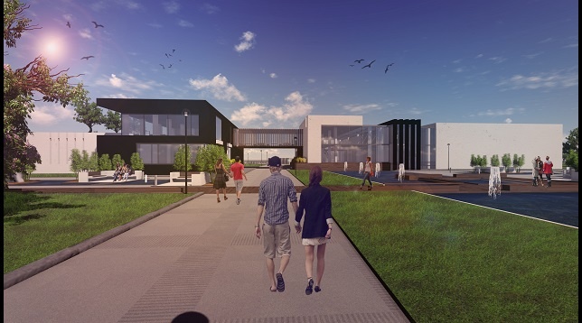 Irina Dron // Complex de agrement