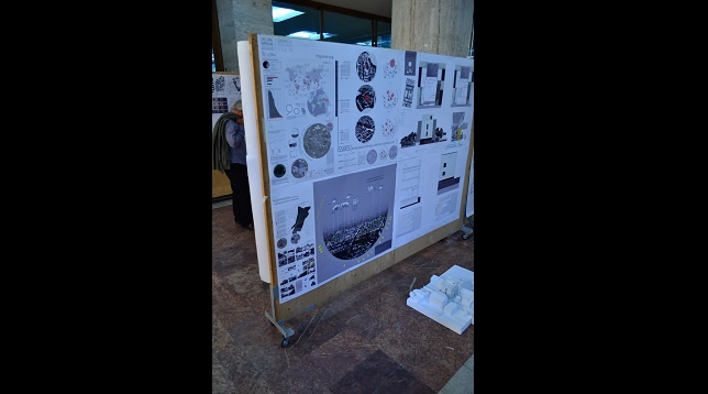 Oana Țuțu  // Locuințe de tip familial pentru copii abandonați