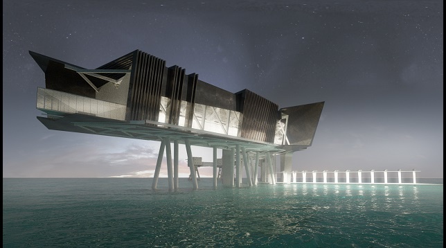 Iulia Niculae // „Red Sands” Scientific Platform