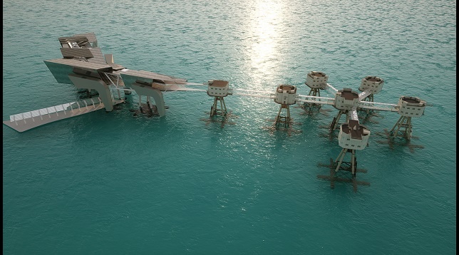 Iulia Niculae // „Red Sands” Scientific Platform