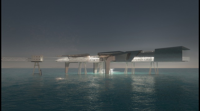 Iulia Niculae // „Red Sands” Scientific Platform