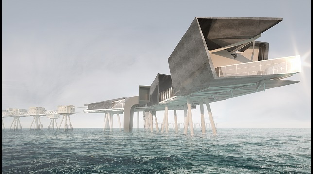 Iulia Niculae // „Red Sands” Scientific Platform