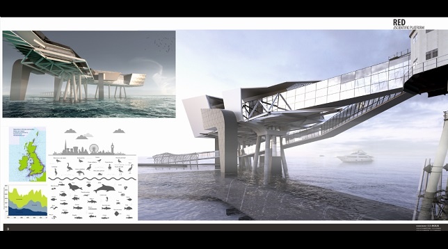 Iulia Niculae // „Red Sands” Scientific Platform