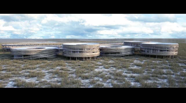 Rodica Pătru // Wildlife Center 