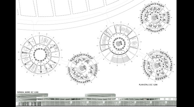 Rodica Pătru // Wildlife Center 
