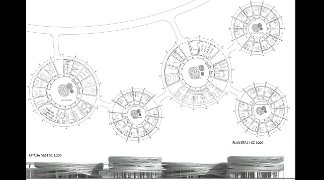 Rodica Pătru // Wildlife Center 