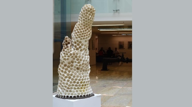 Alexandru Schibinschii // Organizare socială avansată și tezaurizare 