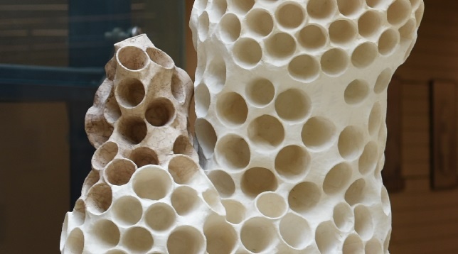 Alexandru Schibinschii // Organizare socială avansată și tezaurizare 