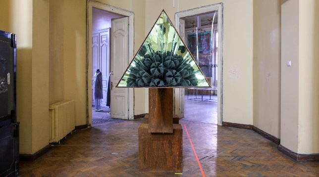 Alin Carpen // Calul Troian