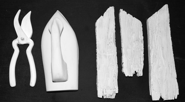 Andra Vlăsceanu // Imagini sub forma unei arborizații dendritice 