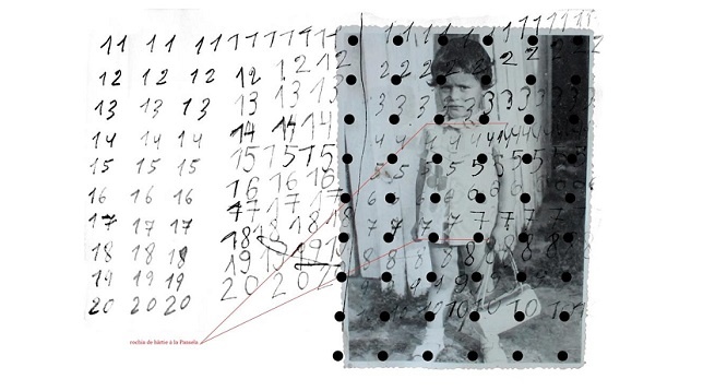 Andra Vlăsceanu // Imagini sub forma unei arborizații dendritice 