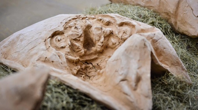 Bianca Mann // Persona 