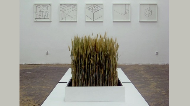 Bogdan Topîrceanu  // Oglinda interioară