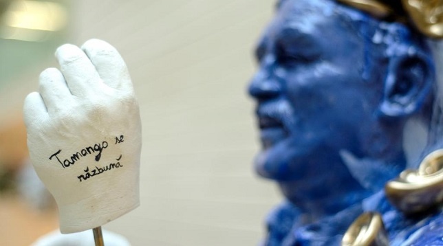 Călin Radu // Țiganii - Aur și noroi 