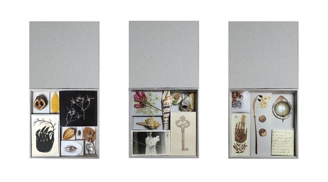 Cristina Crișu // Vis și Simbol. Cutia