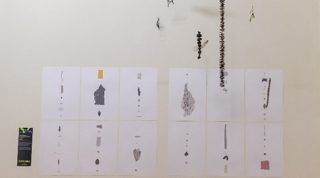 Emanuela Voinescu // Grădina 