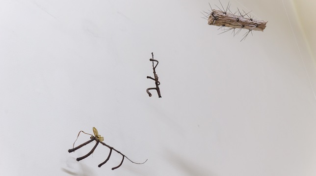 Emanuela Voinescu // Grădina 