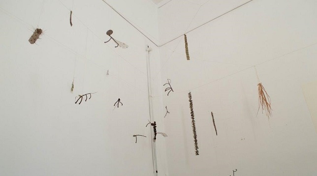 Emanuela Voinescu // Grădina 