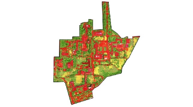 Emma Finchelstein // Reamenajare campus universitar 