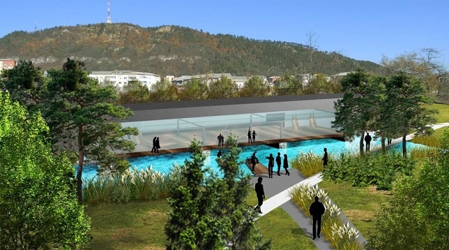 Irina Mihuț // Reintegrare waterfront Bistrița 