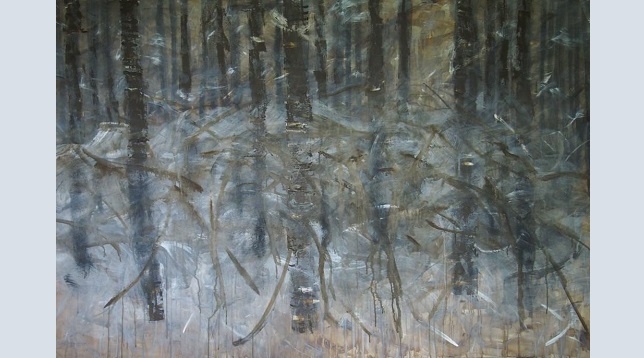 Mihaela Gogu // Păduri, aici și acolo