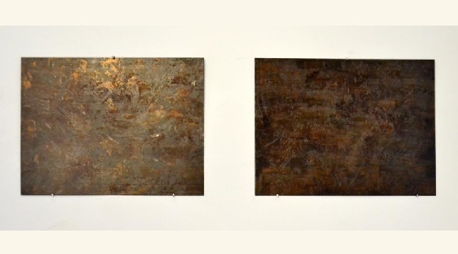 Rodica Ciobanu // Stări