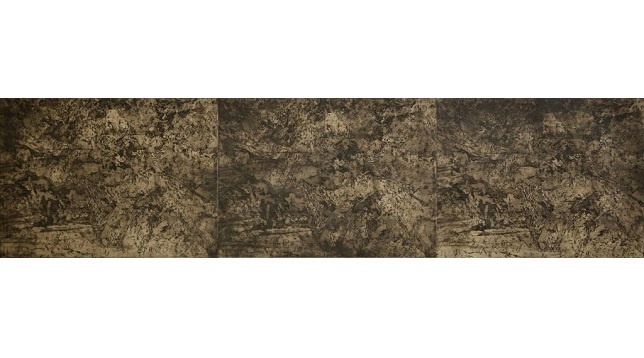 Rodica Ciobanu // Stări