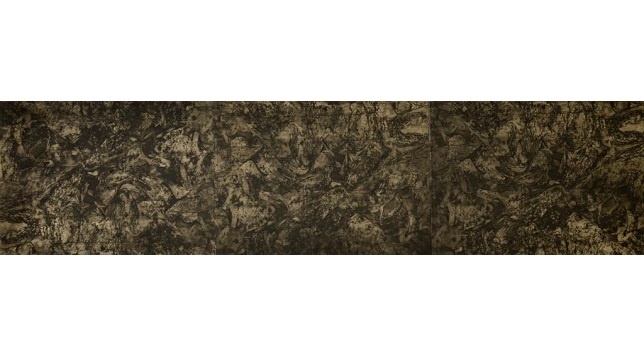 Rodica Ciobanu // Stări