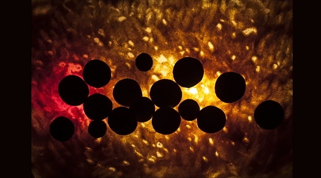 Simona Dimache // Dinamică Virtuală