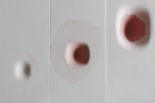 Stardust și Zwei la DDW