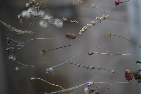 Stardust și Zwei la DDW