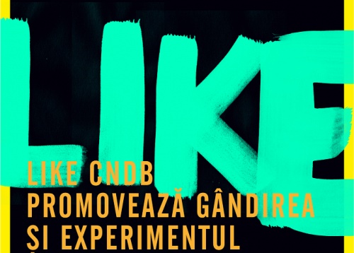 LIKE CNDB- De neîncadrat
