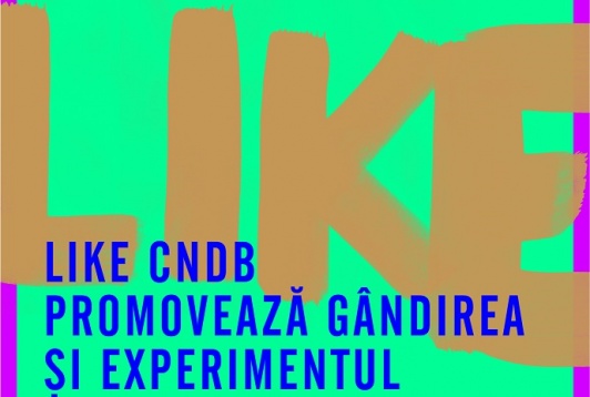 LIKE CNDB- De neîncadrat
