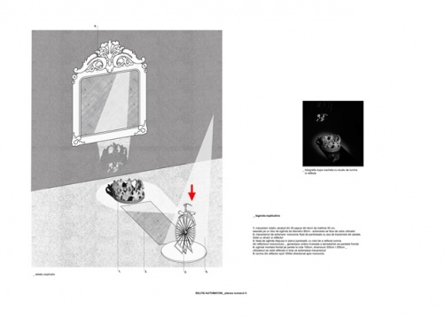 SELFIE AUTOMATON ȘI MENAJERIA DORINȚELOR