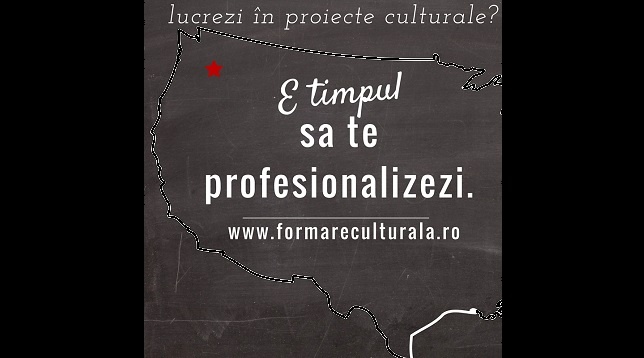 Despre formarea profesională creativă 