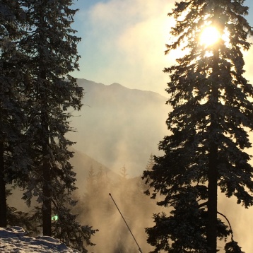 Scrisori de la Brașov // Ami Lungu: Portretul micului Zurich