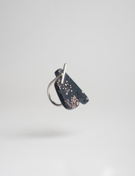 În mintea Anei Marchetanu